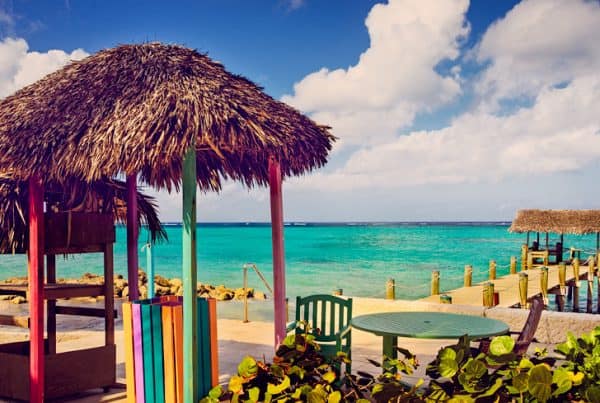 Summer Renting
